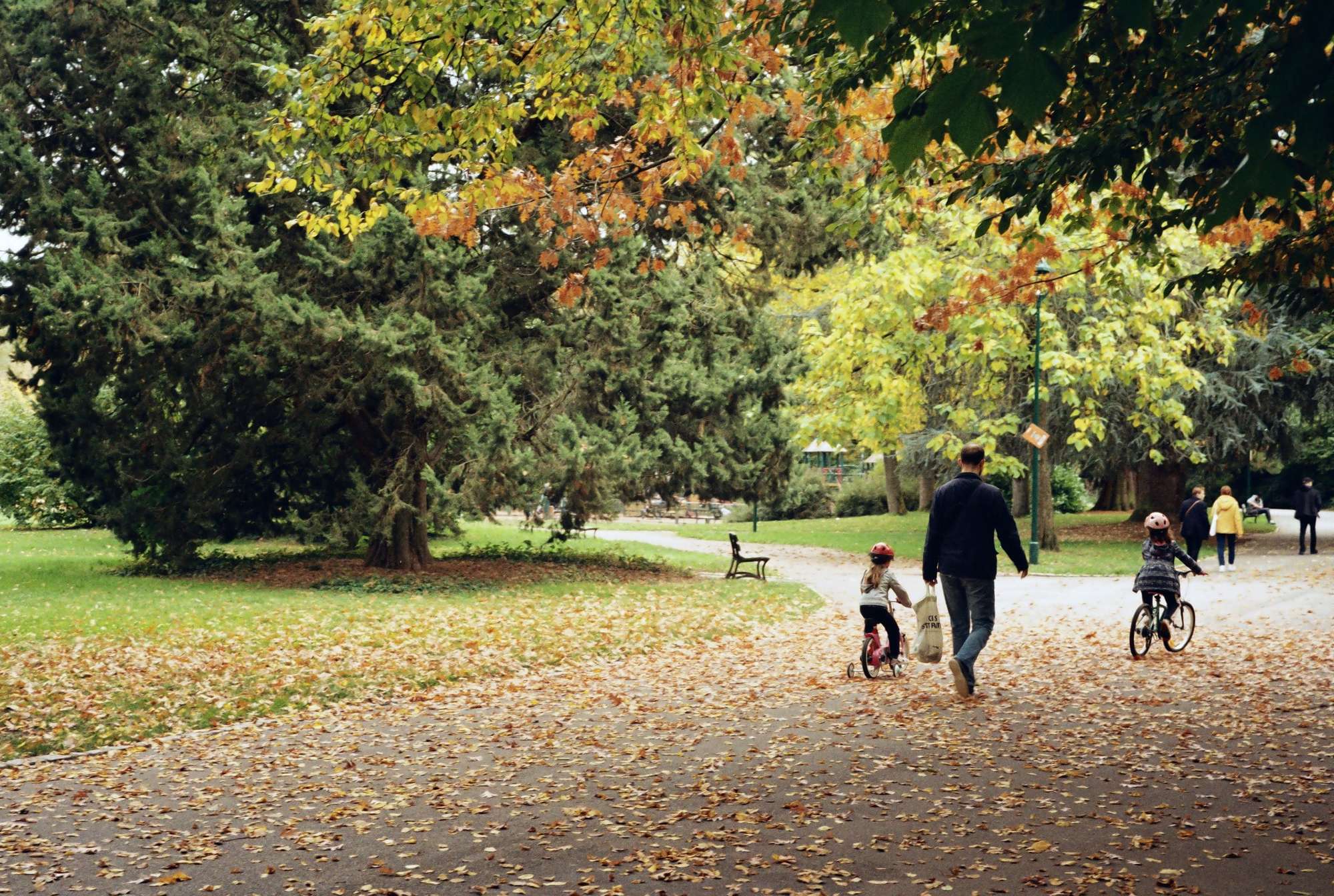 Niños y adultos caminando por un parque madrileño, escena espontánea, luz de tarde.